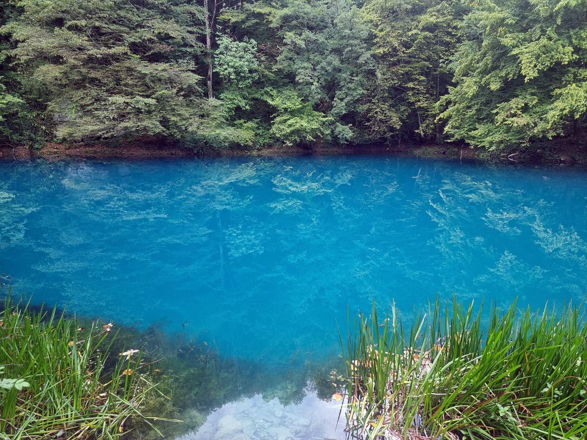 Izvor Slunjčice — šetnja uzvodno do izvora